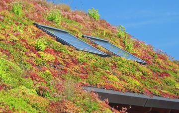 Holbrook living roof systems